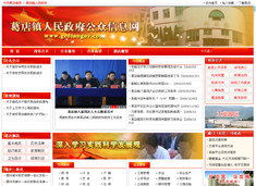 武漢市陸叁玖科技 專業(yè)網(wǎng)站建設(shè)與軟件開(kāi)發(fā)服務(wù)