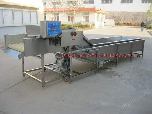 諸城放心機械大姜清洗機洗的干凈效果好