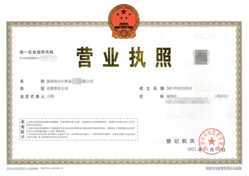 深圳食品貿易公司注冊,在龍崗區(qū)核心要解決無地址這一問題