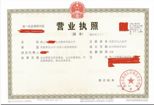 順德區(qū)企業(yè)管理公司不懂填寫經(jīng)營(yíng)范圍,靠代理3天完成公司注冊(cè)